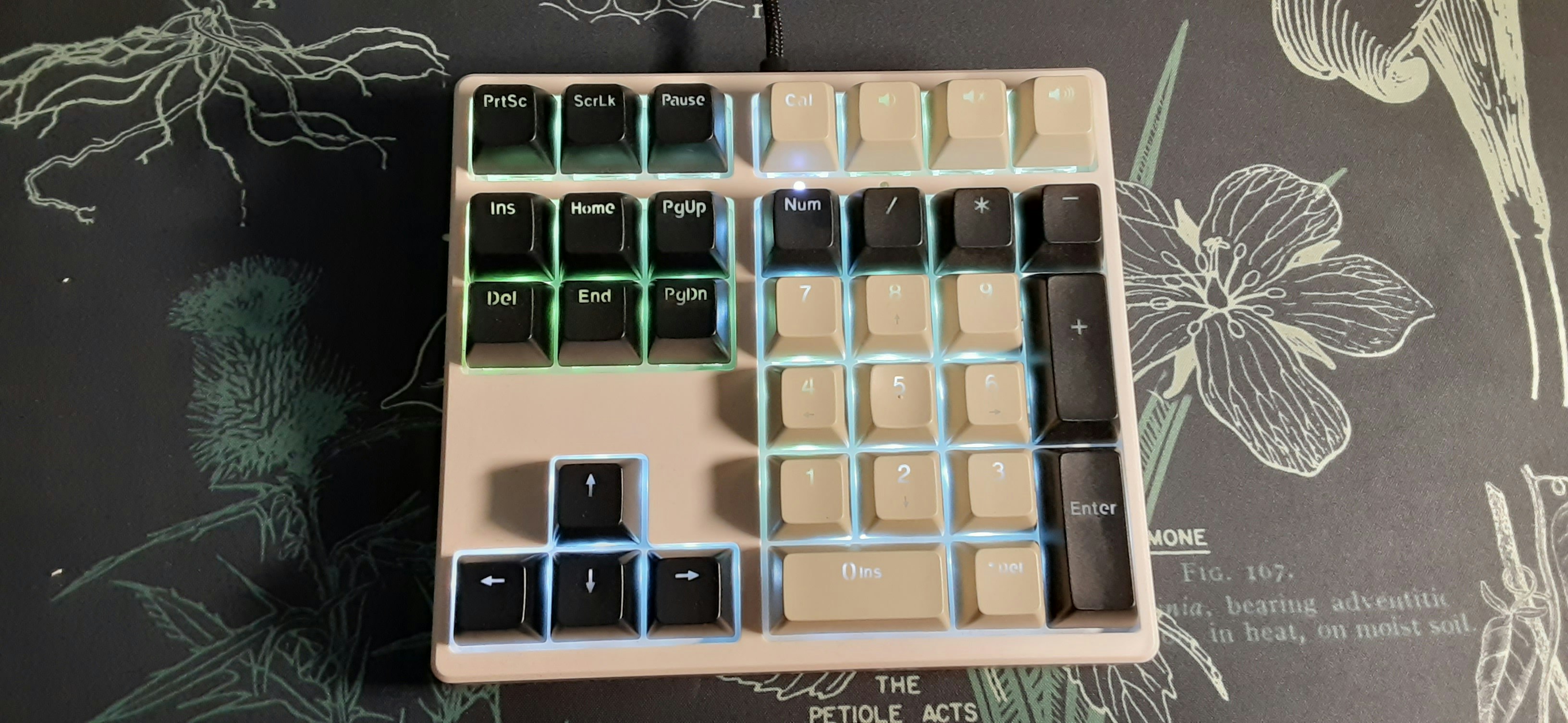 Magicforce MF34 Mechanical Numpad Reviews Drop So far the best...