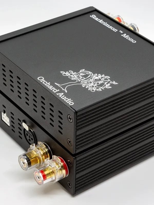 2x 150W GaN Monoblock Audio Power Amplifier + Upgrade to 300W GaN Power