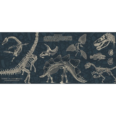 Paleontology
