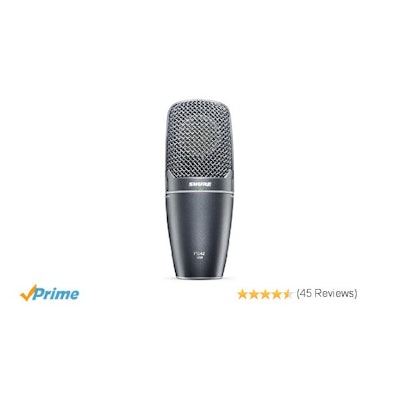 Shure PG42-USB Vocal Microphone: Musical Instruments
