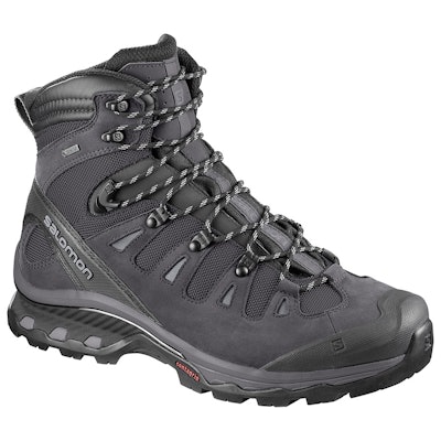 QUEST 4D 3 GTX® - Hiking Shoes - Shoes - MEN