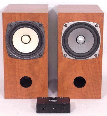Fostex P1000E DIY Kanspea 4" Full Range Speaker Kit