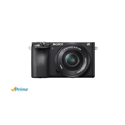 Amazon.com : Sony Mirrorless Digital Camera Bundle with 2.95" LCD, Black (ILCE65
