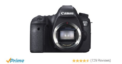 Amazon.com : Canon EOS 6D 20.2 MP CMOS Digital SLR Camera with 3.0-Inch LCD (Bod