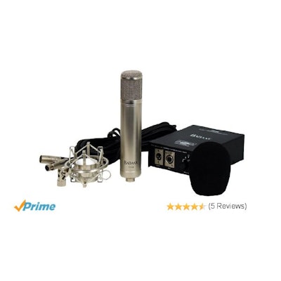 Amazon.com: BadAax T-11A Vacuum Tube Condenser Microphone: Musical Instruments