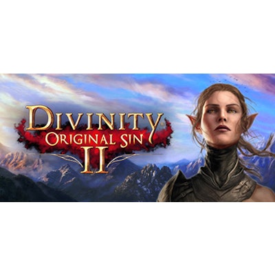 Divinity: Original Sin 2 on Steam