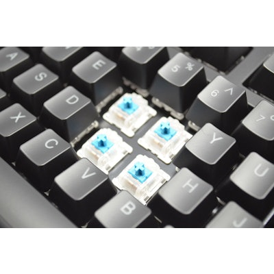 MK Disco TKL RGB Backlit Mechanical Keyboard (KBT Black)