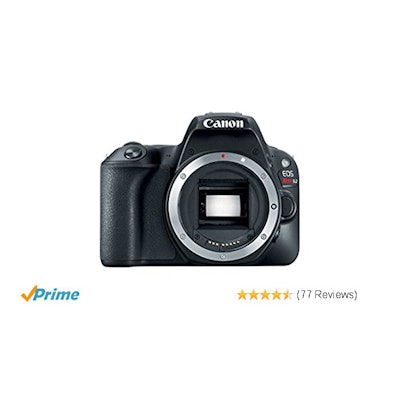 Amazon.com : Canon EOS Rebel SL2 Digital SLR Camera Body - WiFi Enabled : Camera
