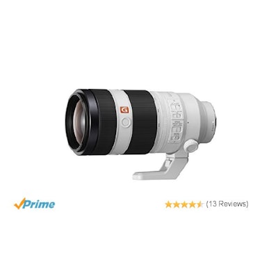 Amazon.com : Sony FE 100-400mm F4.5-5.6 GM OSS : Camera & Photo