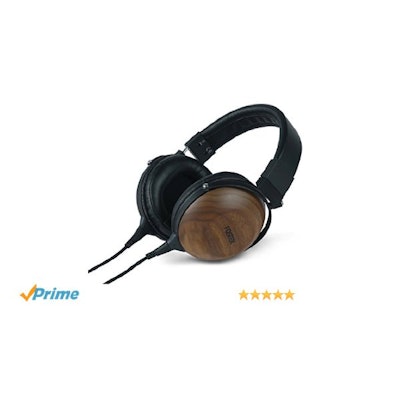 Amazon.com: FOSTEX premium Reference headphone TH610: Home Audio & Theater