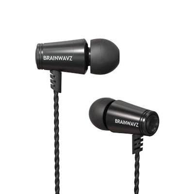 Brainwavz M100 Earphones With Microphone & Remote – Brainwavz Audio
