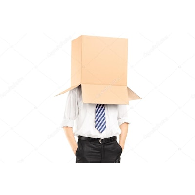 Just wear a box on your head