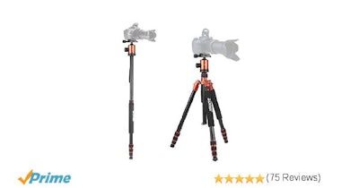 Amazon.com : Zomei Z818 Professional Heavy Duty Compact Photo Camera Tripod 65 I