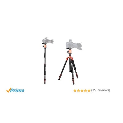 Amazon.com : Zomei Z818 Professional Heavy Duty Compact Photo Camera Tripod 65 I