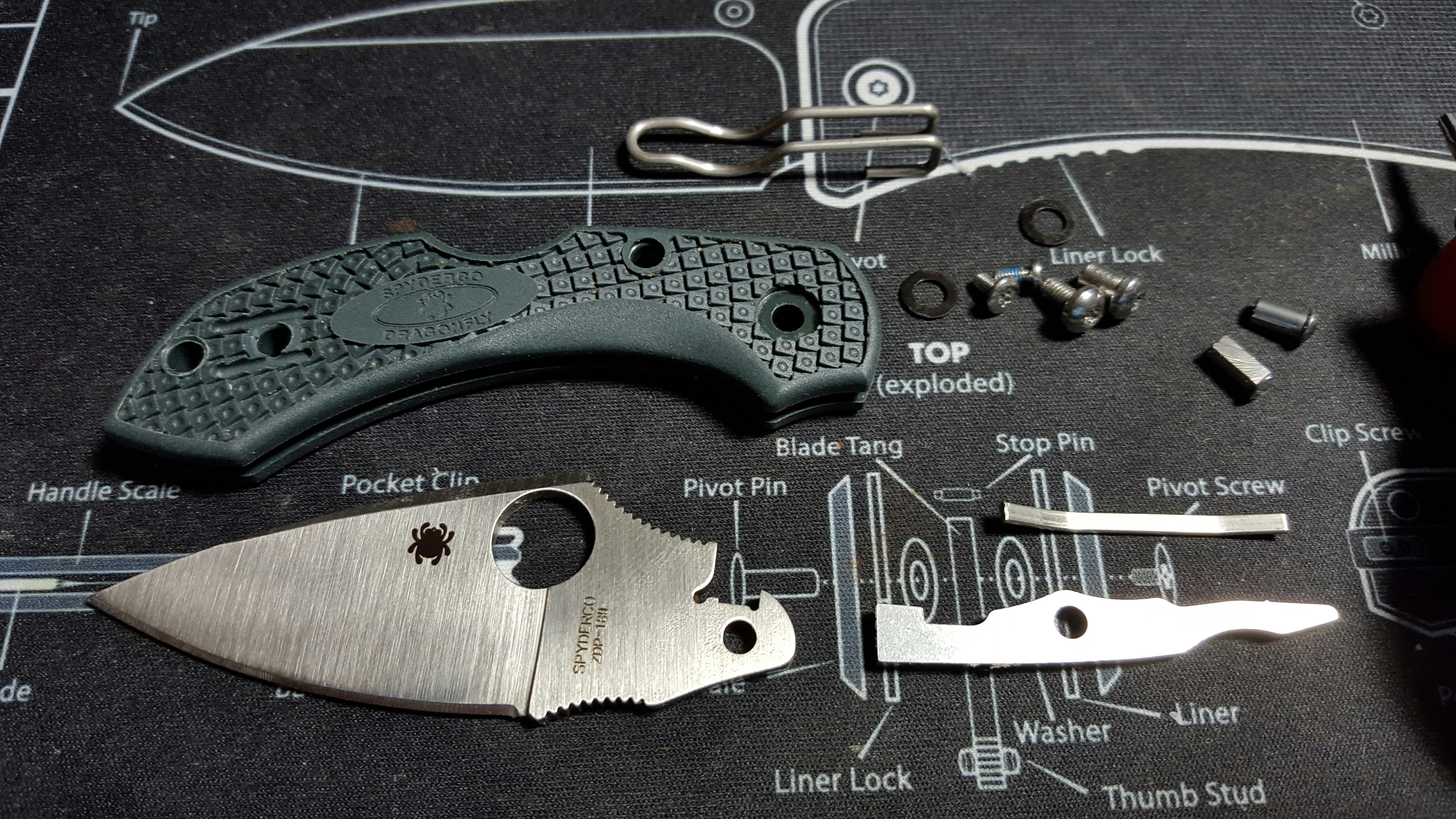 Spyderco Dragonfly 2 Rebuild (G10, ZDP189) Drop
