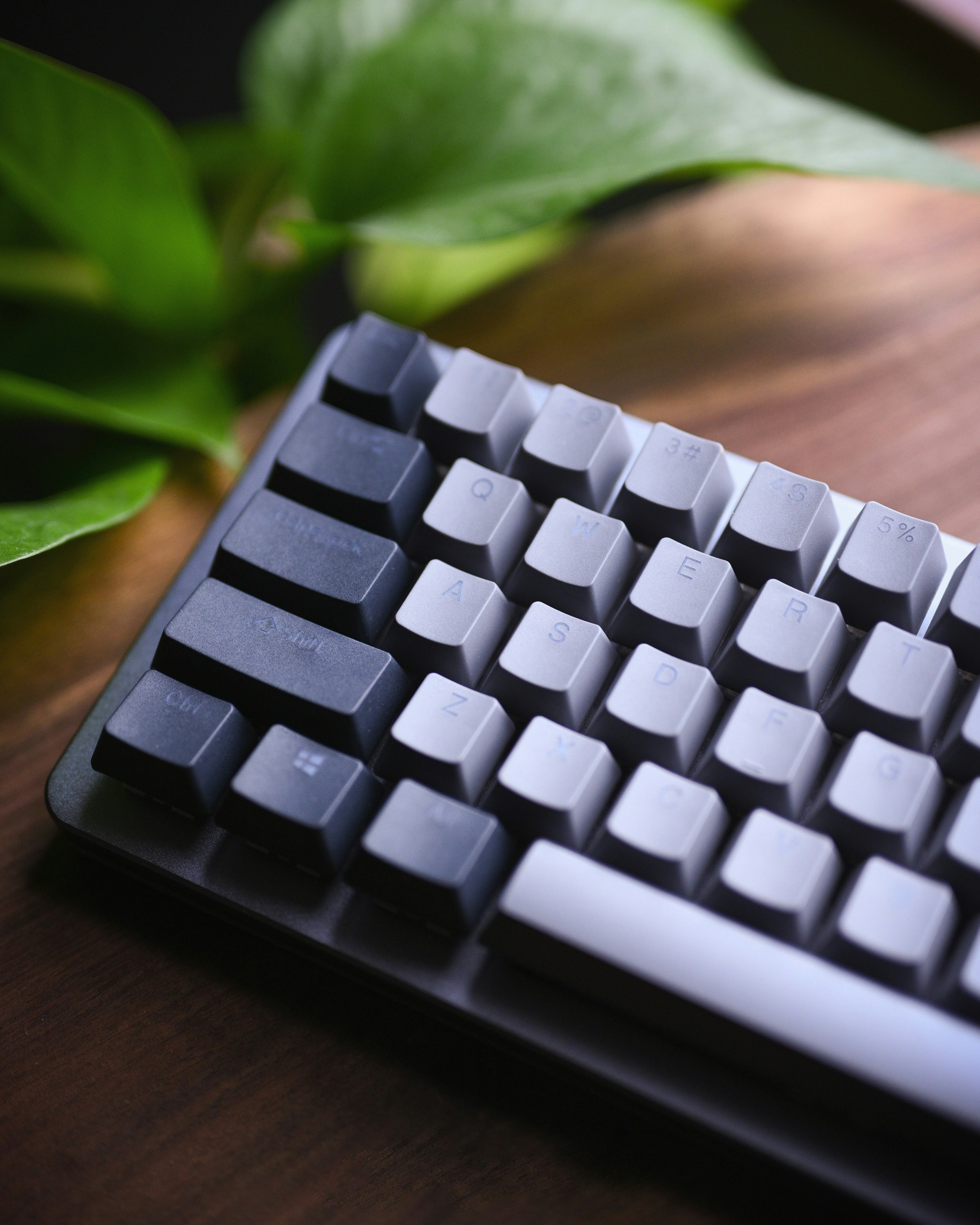 keyboard layout editor space between keys and nav cluster