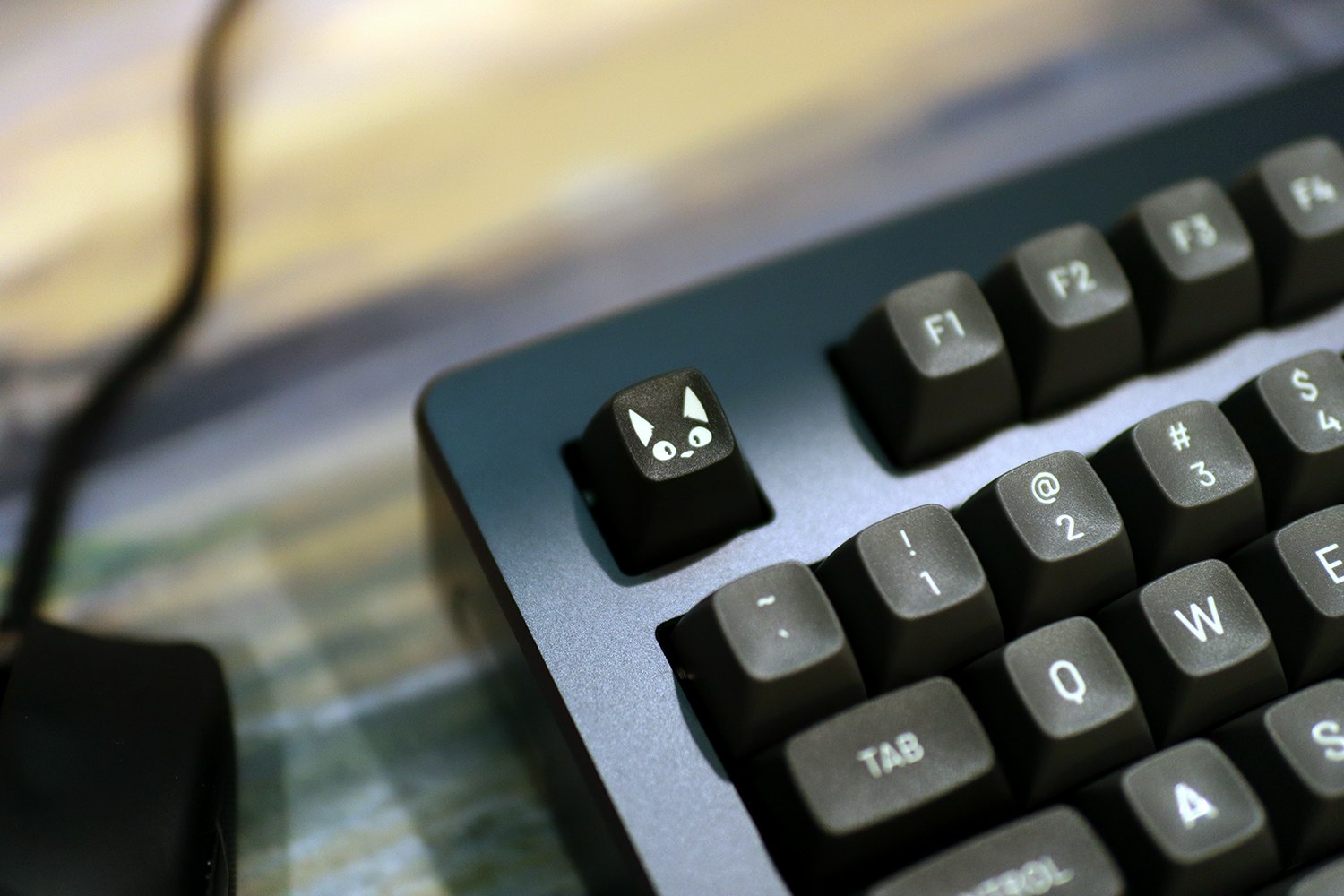 【美品】DROP+MATT3O MT3 SUSUWATARI + tokyo60 Drop + Matt3o MT3 Susuwatari Custom Keycap Set | Doubleshot