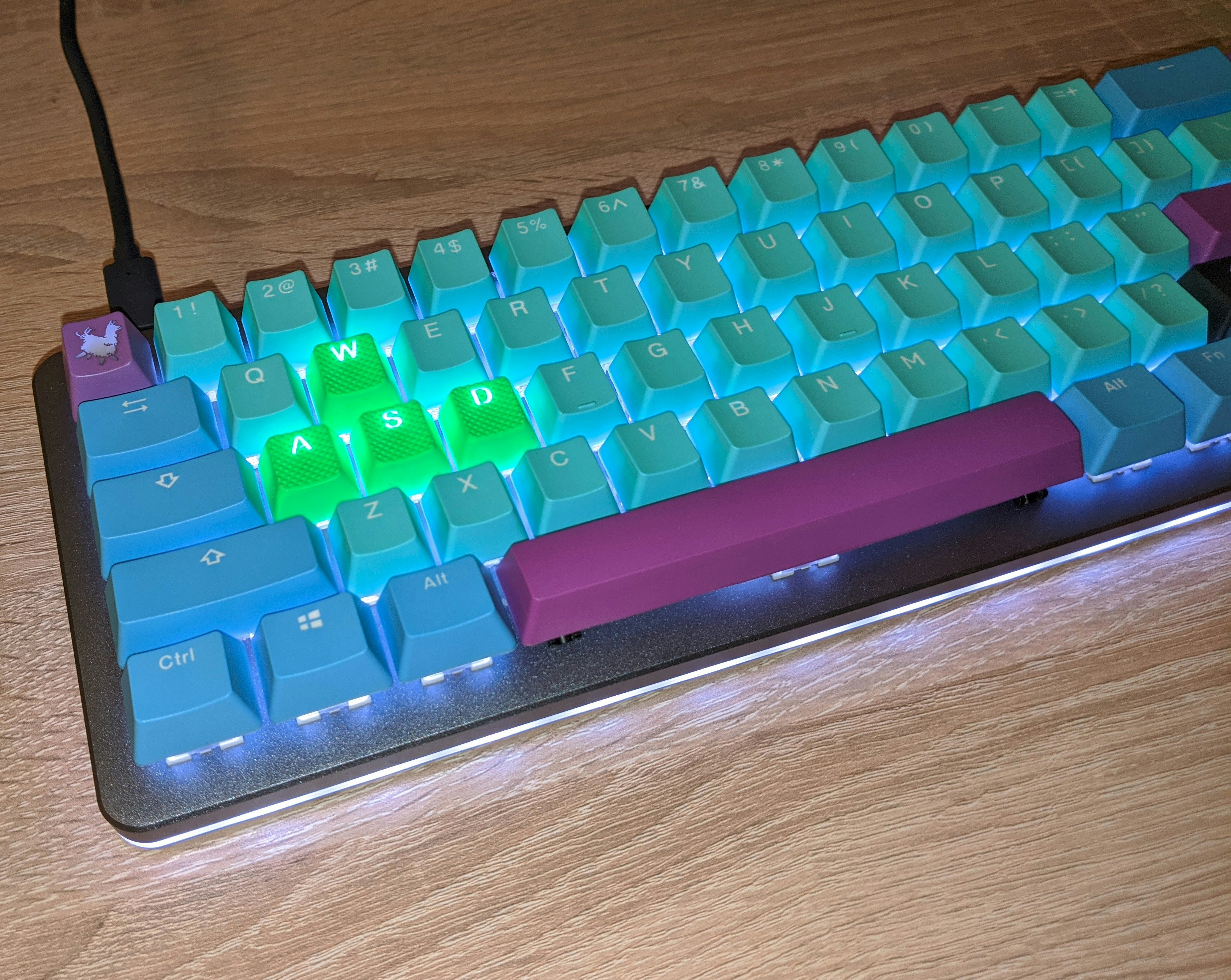 Investigation Fast Reward Frozen Llama Wooden Animation Cathedral