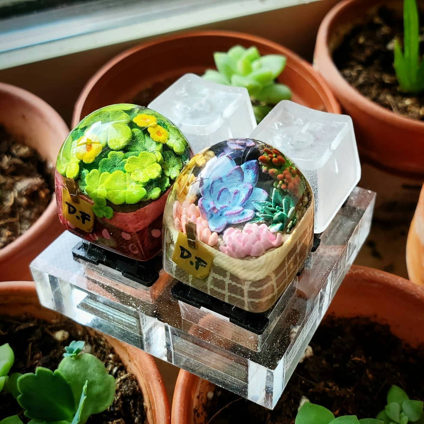 Dwarf Factory Terrarium Resin Artisan Keycap Price & Reviews Drop