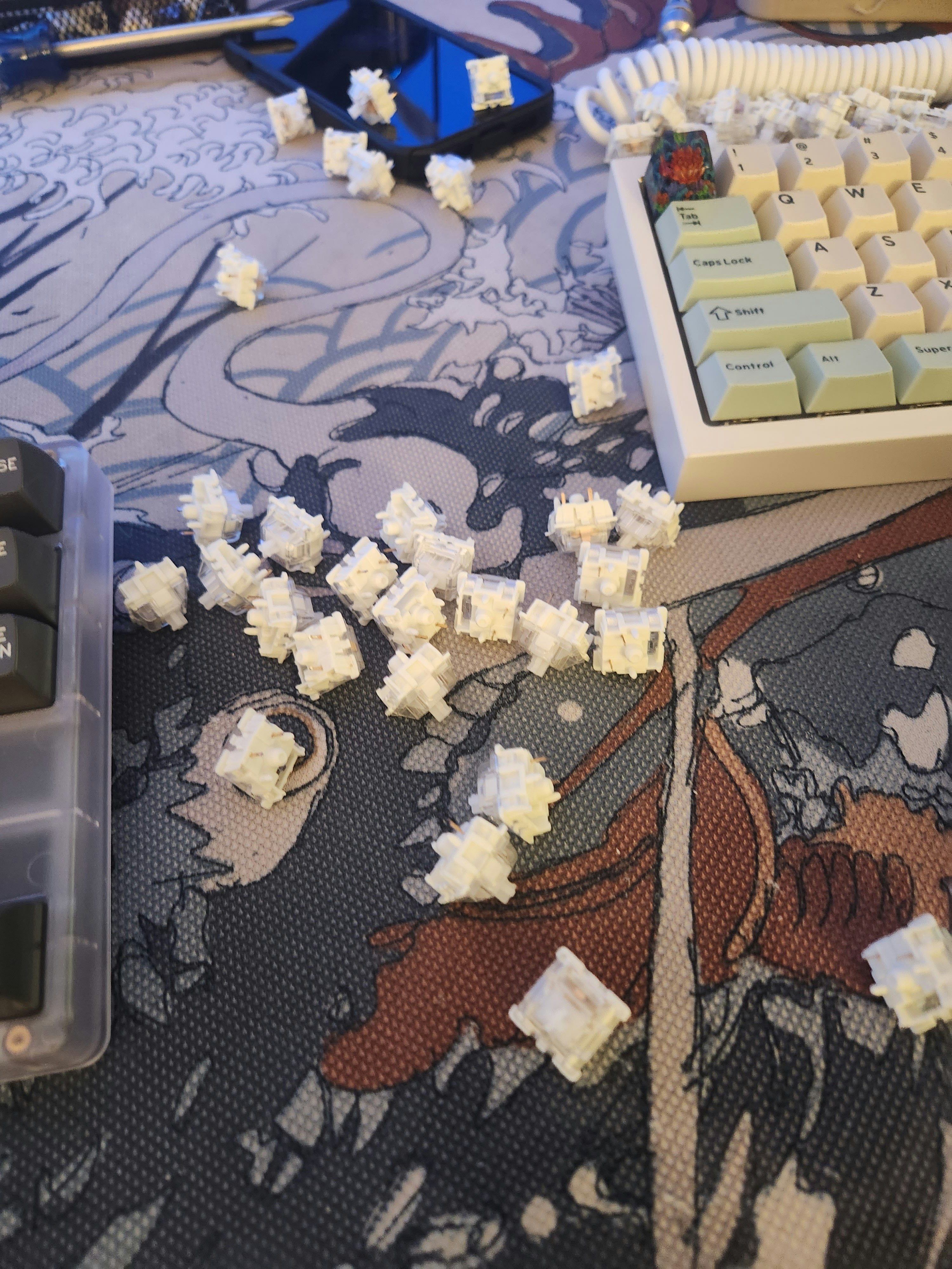 Drop Holy Panda X Clear Mechanical Switches Mechanical Keyboards