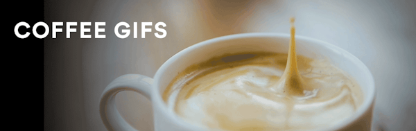 What S Your Favorite Coffee Gif Drop