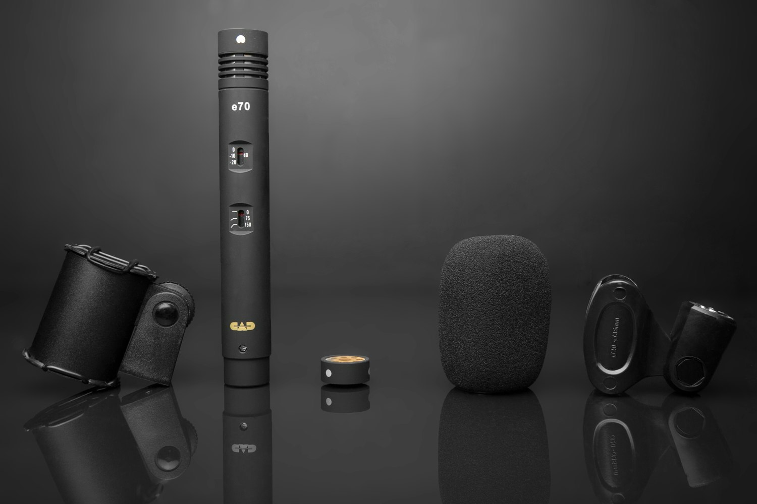 CAD e300s and e70 Microphone Bundle