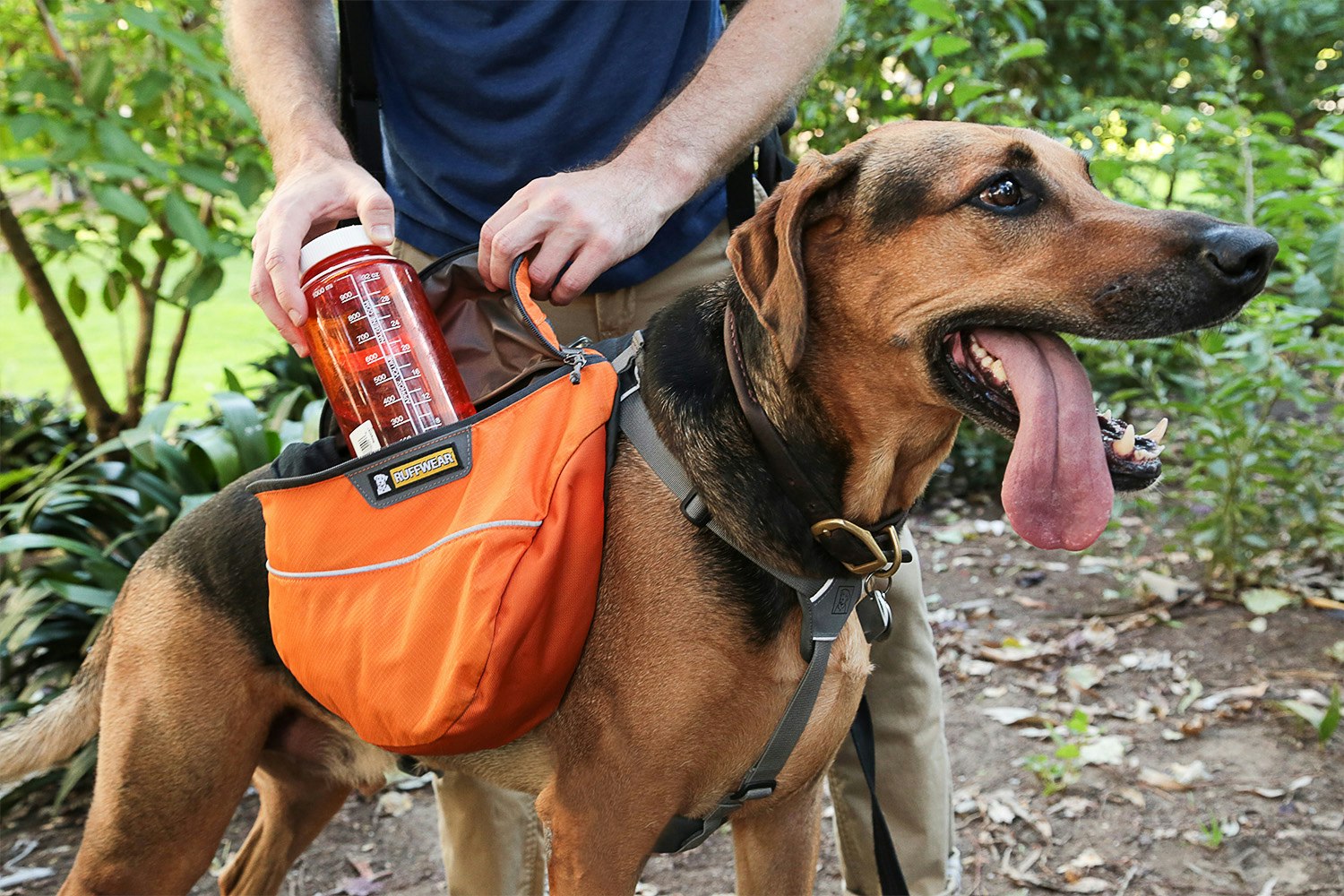 Ruffwear Approach and Palisades Dog Packs Drop