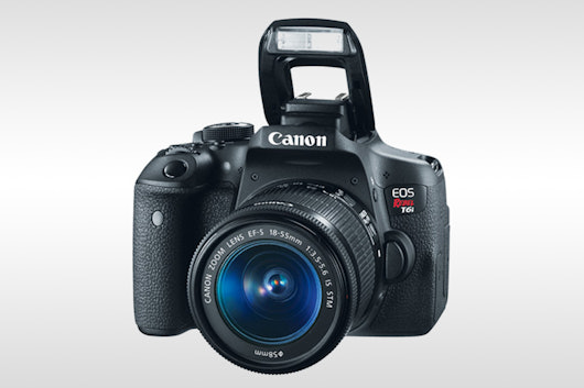 Canon EOS Rebel T6i with EF-S 18-55mm IS STM Lens