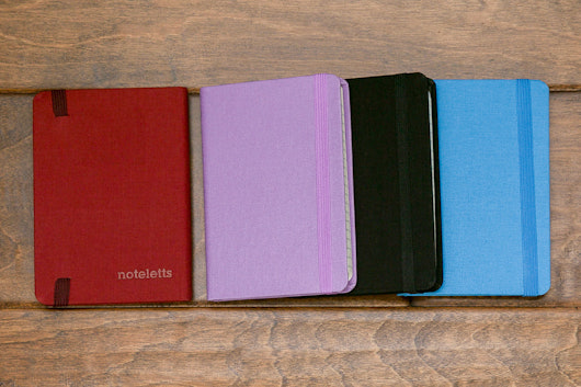 Noteletts Compact Notebooks (2-Pack)