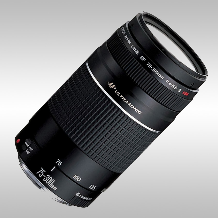 Canon EF 75-300MM F/4-5.6 III AF Lens | Cameras | DSLR Cameras | Drop