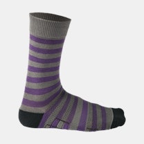 Grey/Purple Stripes 