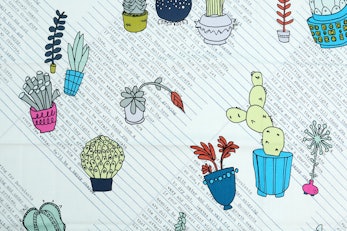 Succulents by Heather Givans