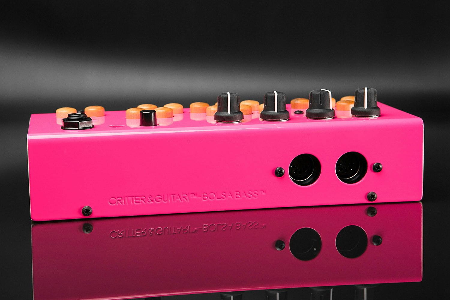 Critter Guitari Bolsa Bass