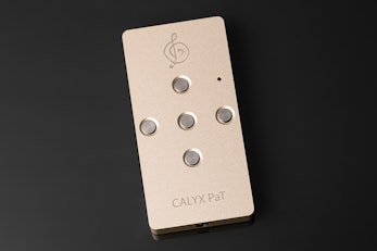 Calyx Audio PaT DAC/Headphone Amp
