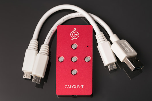 Calyx Audio PaT DAC/Headphone Amp