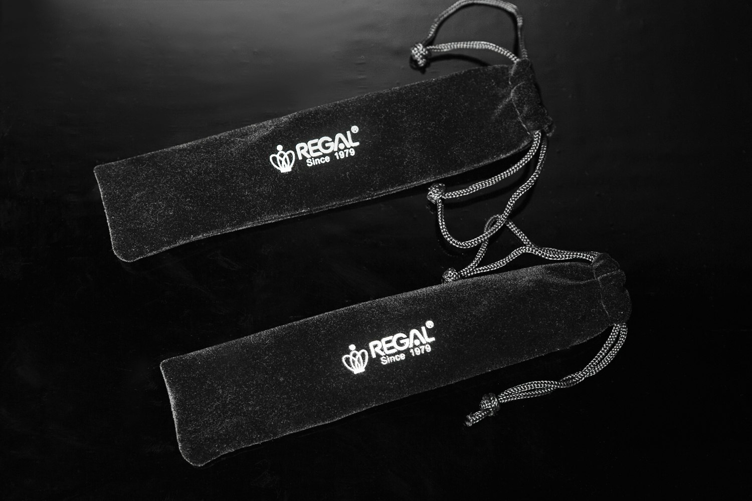 Entry-Level Regal Fountain Pens (2-Pack)