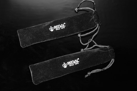 Entry-Level Regal Fountain Pens (2-Pack)