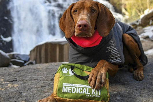 Adventure Medical Kits Me & My Dog Kit