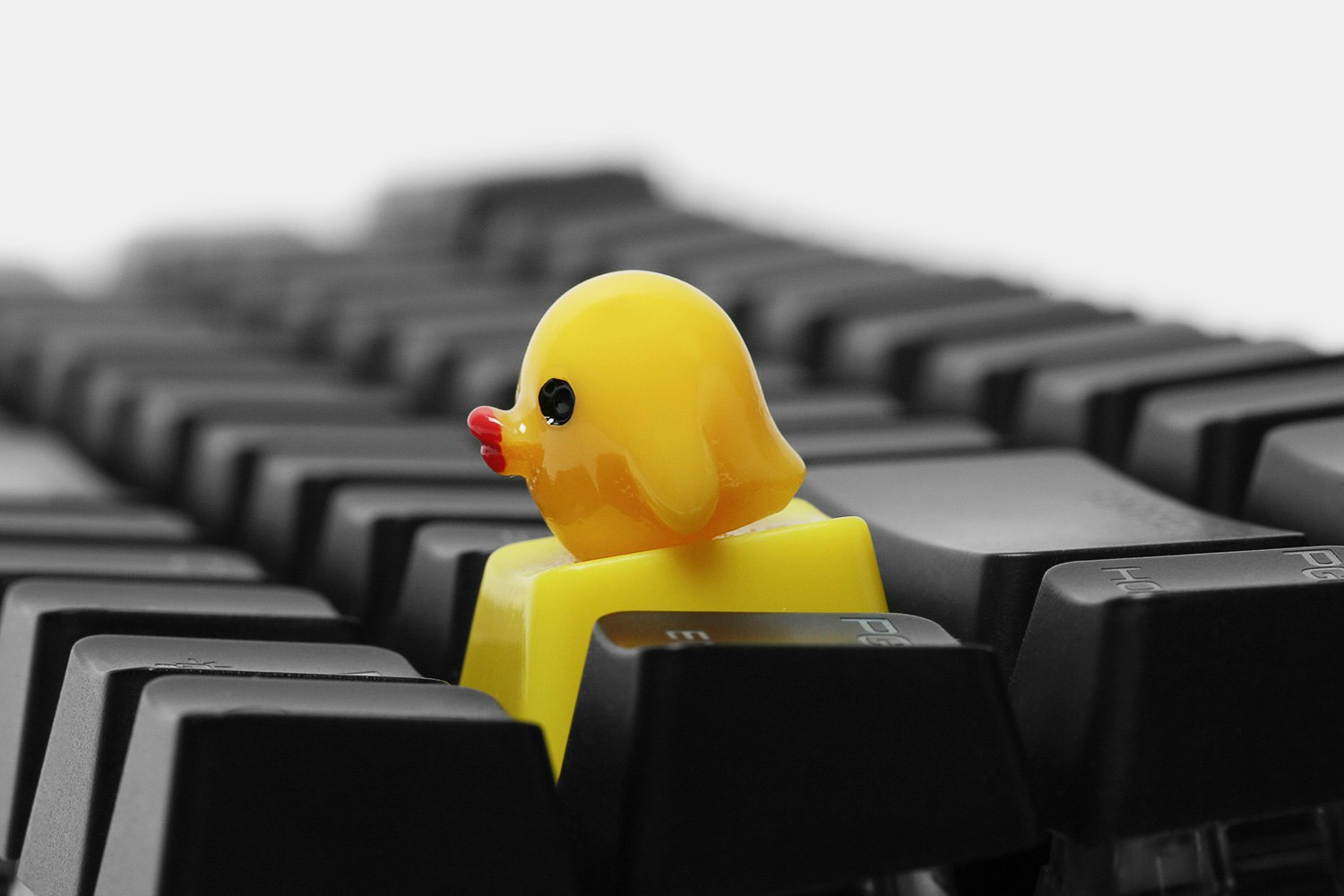 Baby ChickCap Novelty Keycaps (4-Pack)