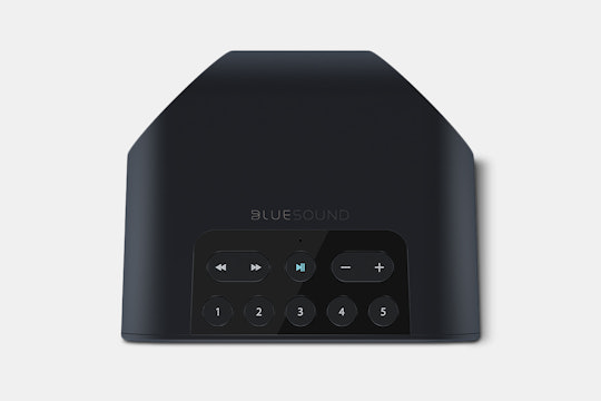 Bluesound Pulse Flex Wireless Speaker