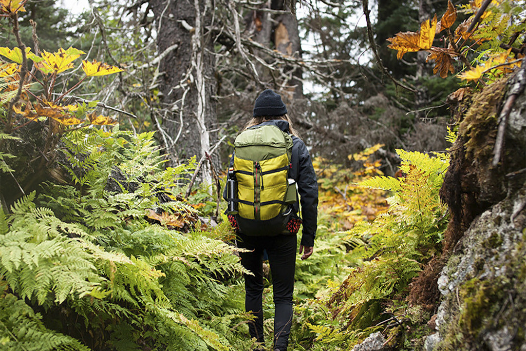 Boreas Muir Woods 30L Day Pack