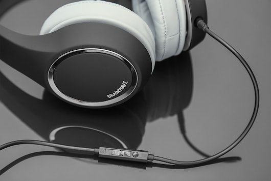 Brainwavz HM2 Portable Headphones