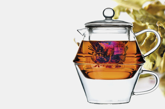 Bredemeijer 14-Ounce Borosilicate Teapot for One
