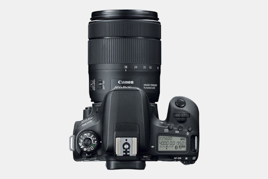 Canon 77D 24.2 MP w/EF-S 18–135mm IS USM Lens
