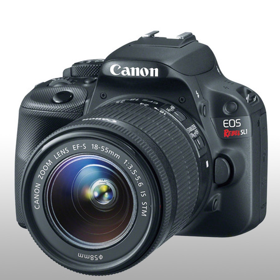 Best DSLR Cameras under 400 October 2024 Drop