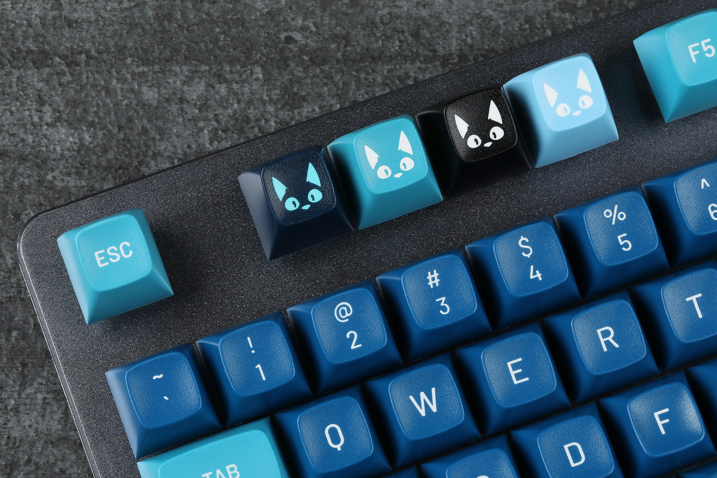 Caps for Causes: MT3 NoveltyCats