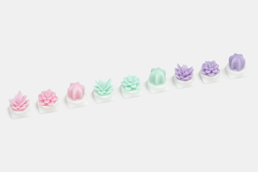 Capsmiths Succulent Artisan Keycap