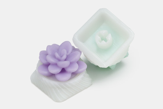 Capsmiths Succulent Artisan Keycap