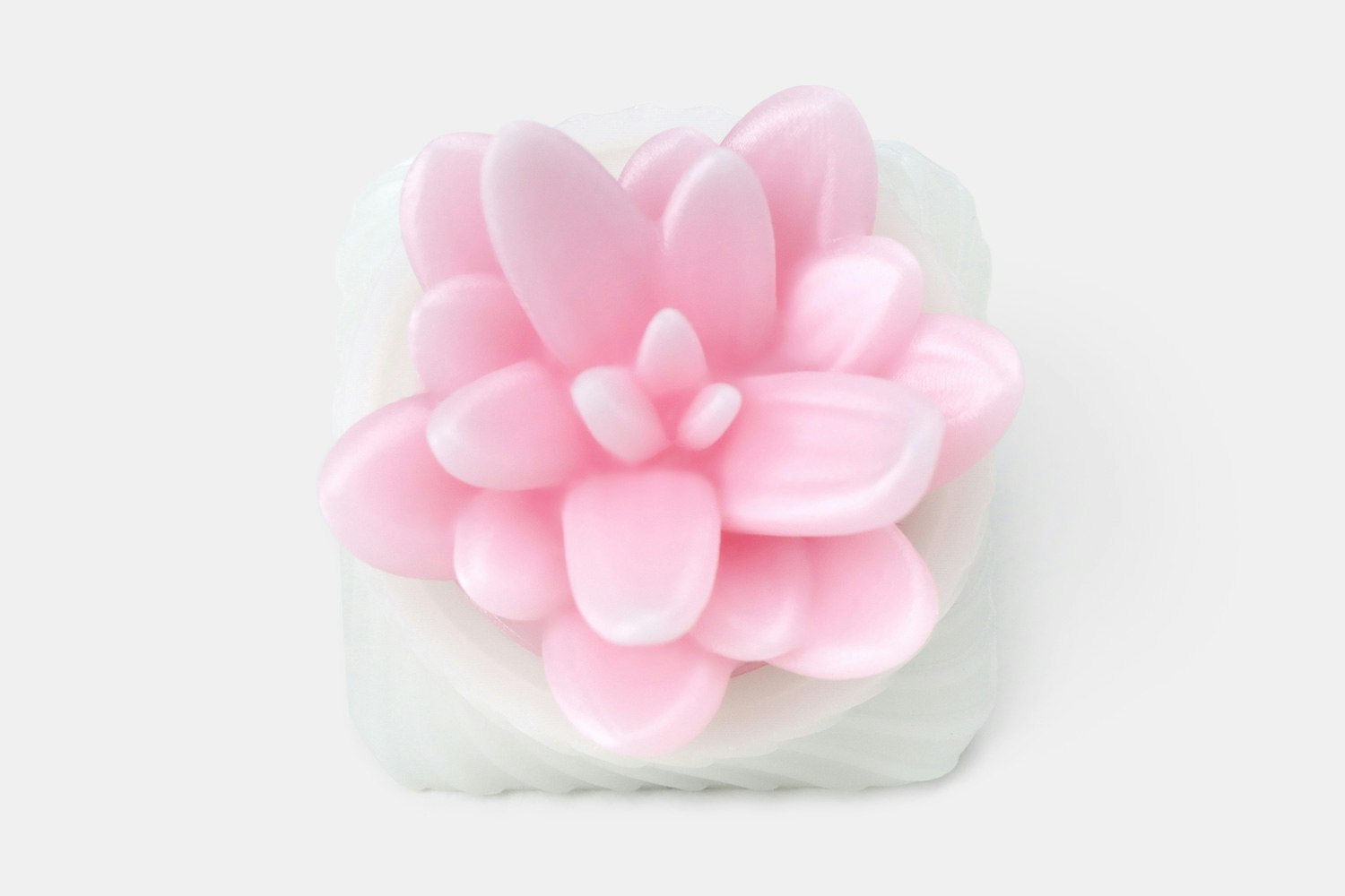 Capsmiths Succulent Artisan Keycap