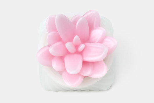 Capsmiths Succulent Artisan Keycap